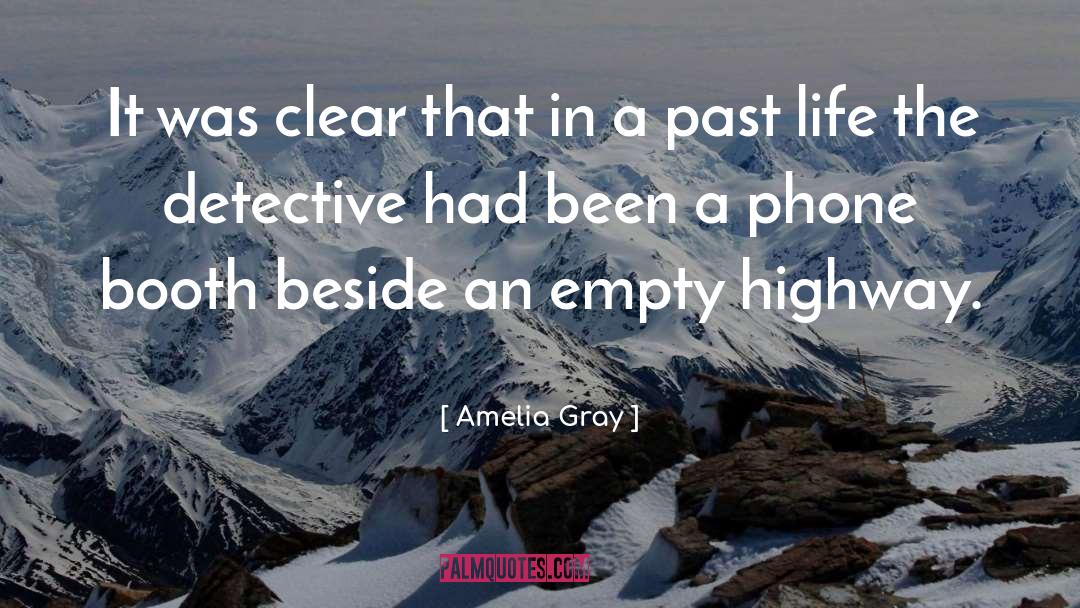 Amelia Gray Quotes: It was clear that in