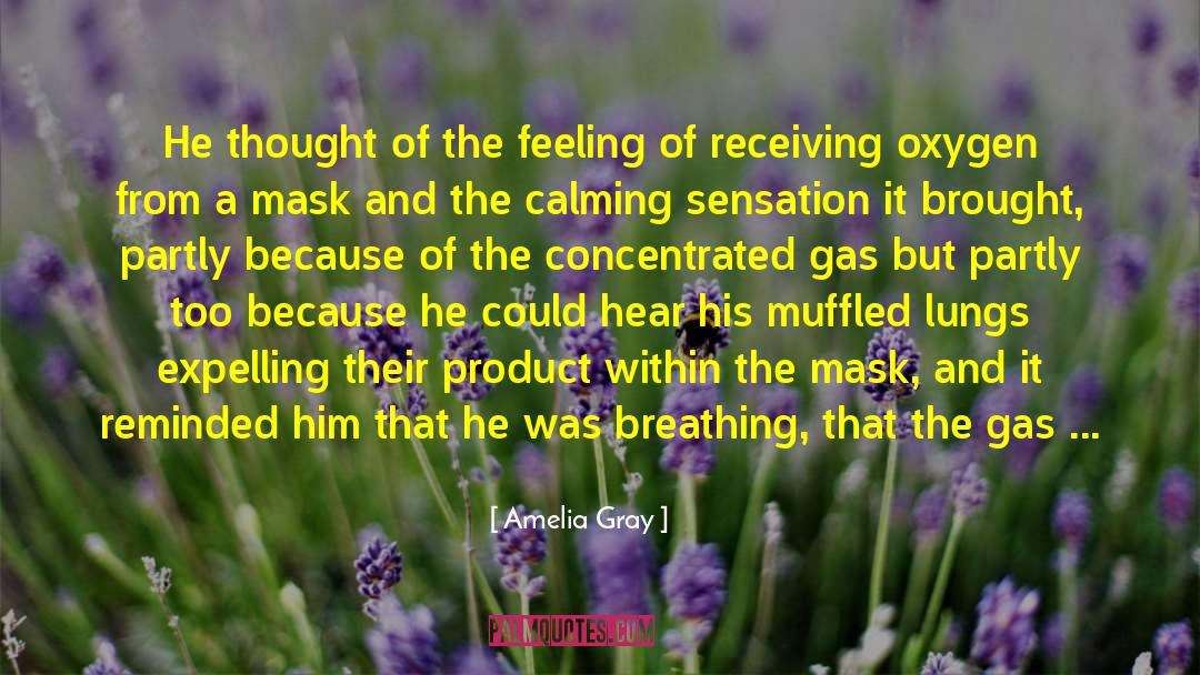 Amelia Gray Quotes: He thought of the feeling