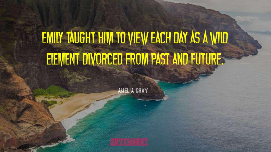 Amelia Gray Quotes: Emily taught him to view