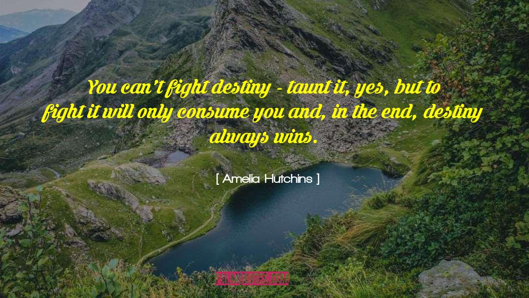 Amelia Hutchins Quotes: You can't fight destiny -