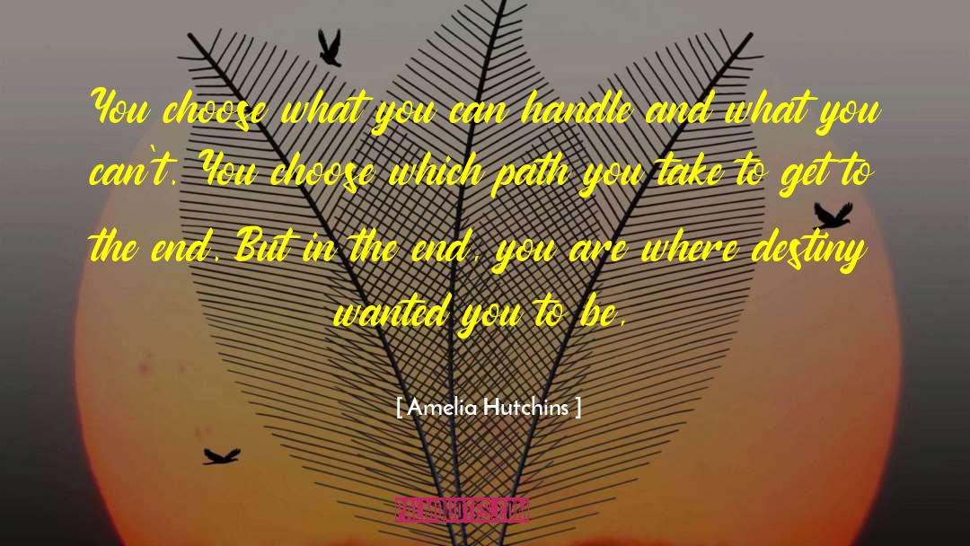 Amelia Hutchins Quotes: You choose what you can