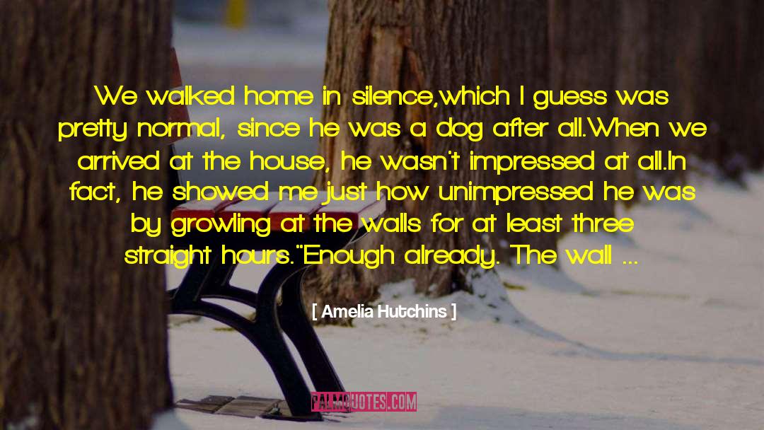 Amelia Hutchins Quotes: We walked home in silence,which
