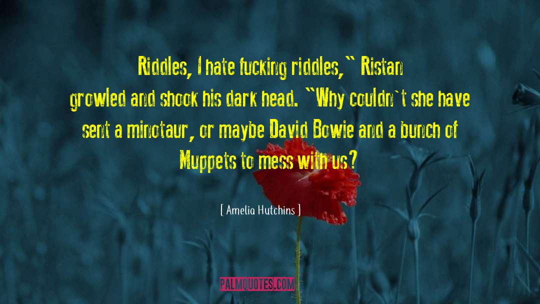 Amelia Hutchins Quotes: Riddles, I hate fucking riddles,