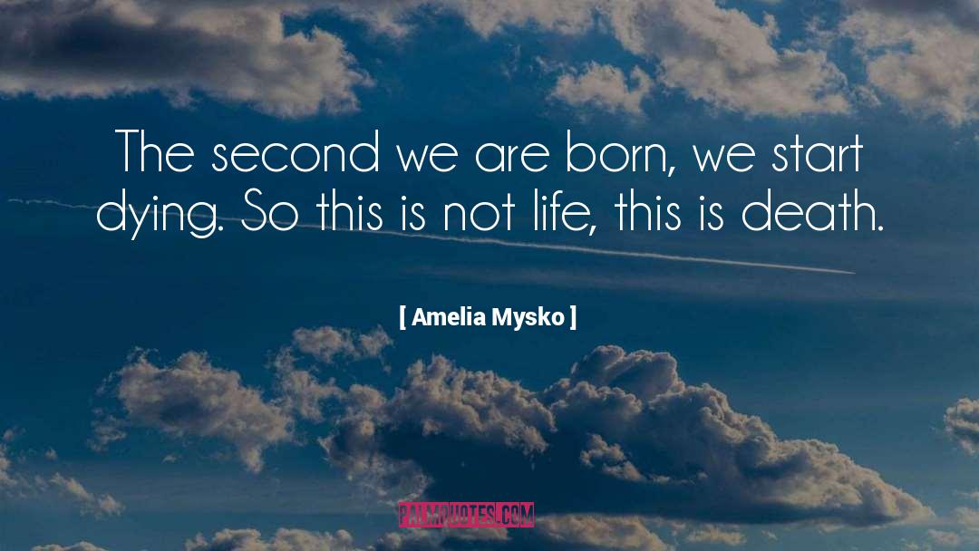 Amelia Mysko Quotes: The second we are born,