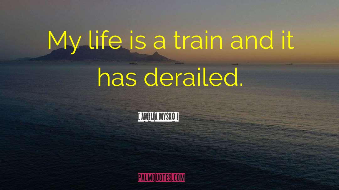Amelia Mysko Quotes: My life is a train
