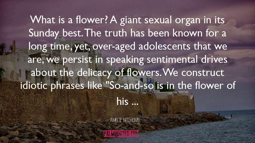 Amelie Nothomb Quotes: What is a flower? A