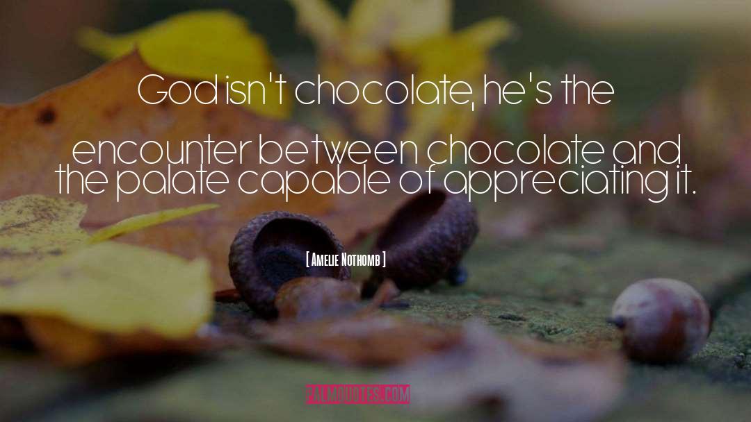 Amelie Nothomb Quotes: God isn't chocolate, he's the