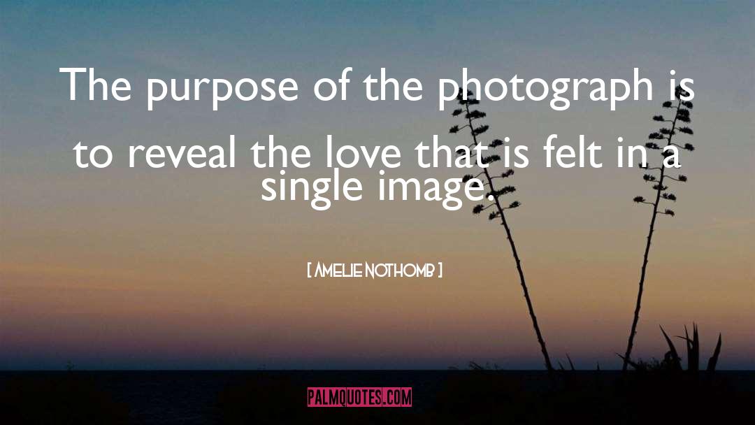 Amelie Nothomb Quotes: The purpose of the photograph