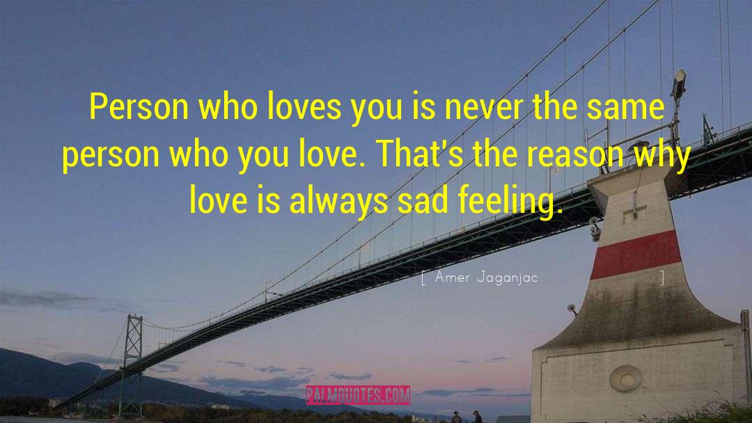 Amer Jaganjac Quotes: Person who loves you is
