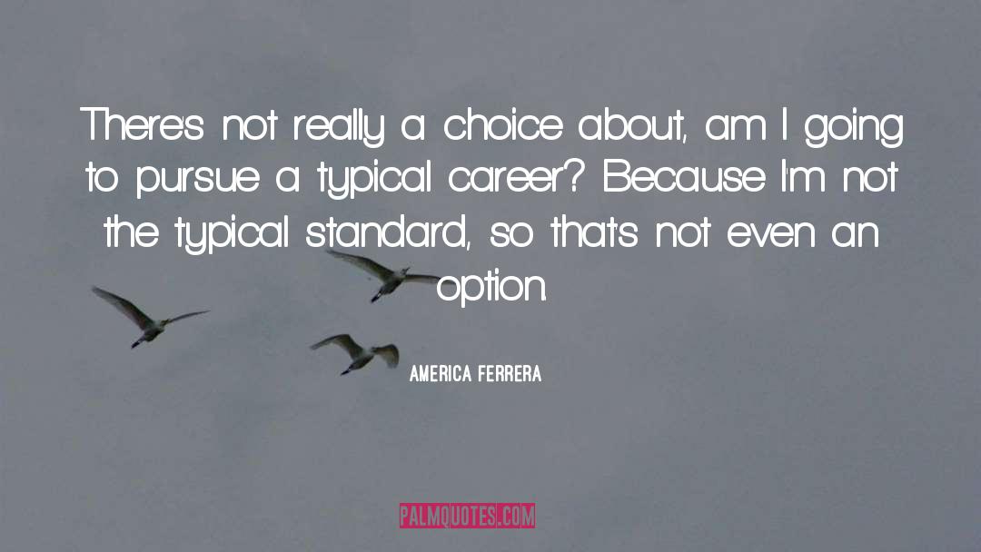 America Ferrera Quotes: There's not really a choice