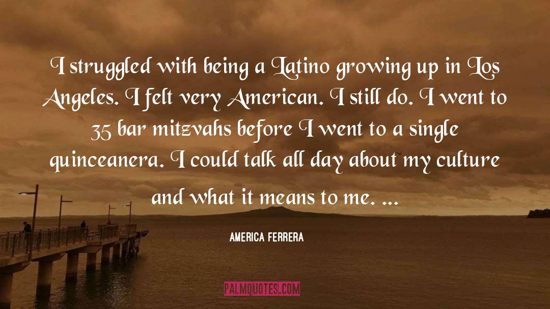 America Ferrera Quotes: I struggled with being a