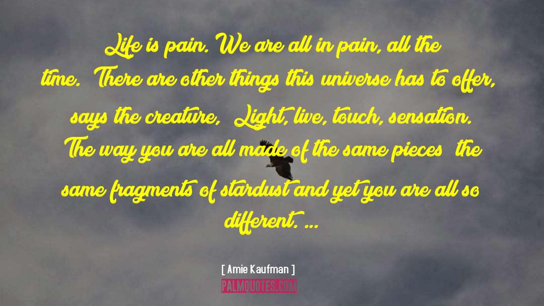 Amie Kaufman Quotes: Life is pain. We are