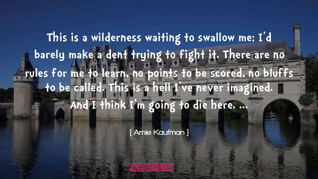 Amie Kaufman Quotes: This is a wilderness waiting