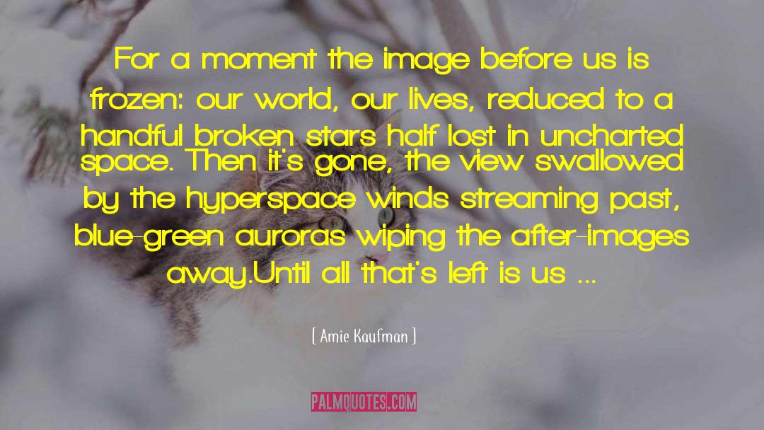 Amie Kaufman Quotes: For a moment the image