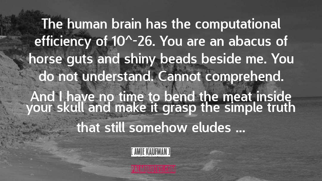 Amie Kaufman Quotes: The human brain has the