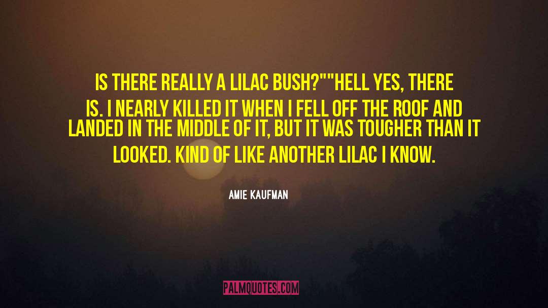 Amie Kaufman Quotes: Is there really a lilac