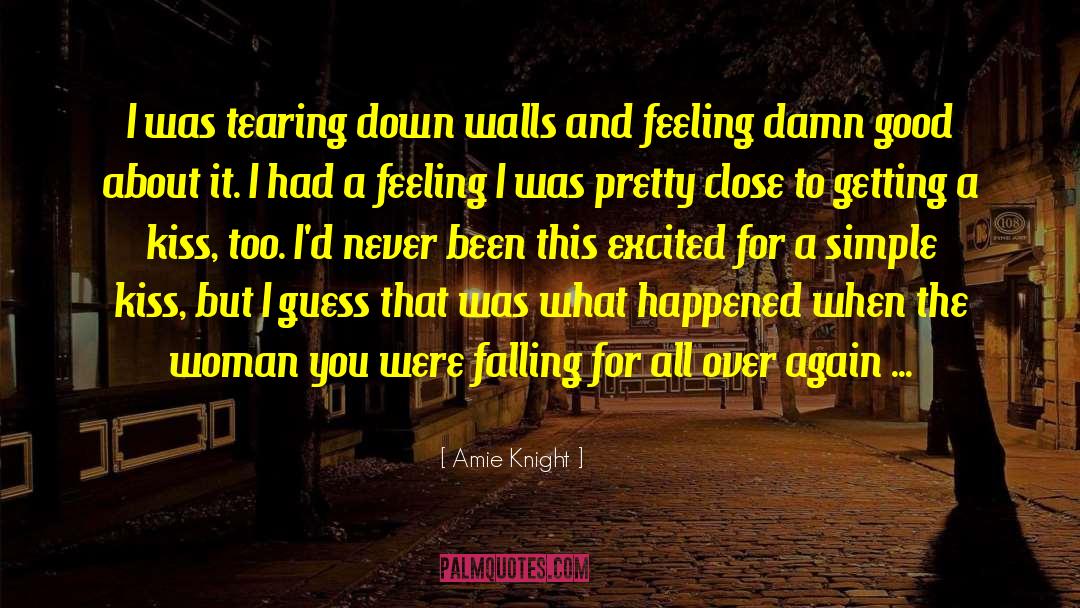 Amie Knight Quotes: I was tearing down walls