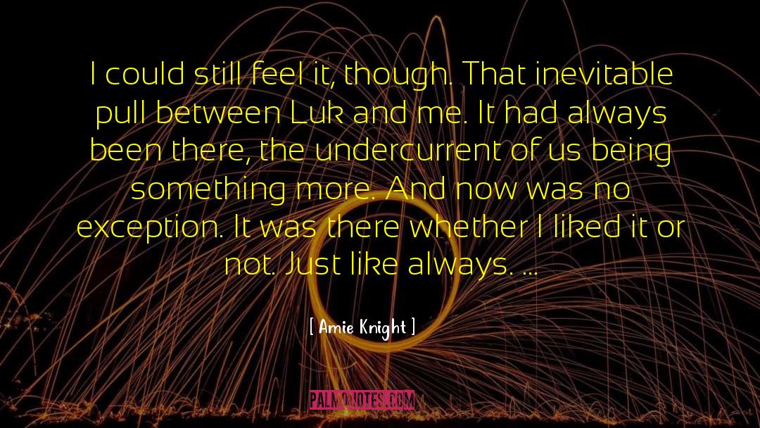 Amie Knight Quotes: I could still feel it,