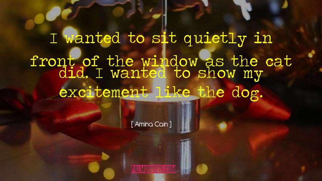 Amina Cain Quotes: I wanted to sit quietly