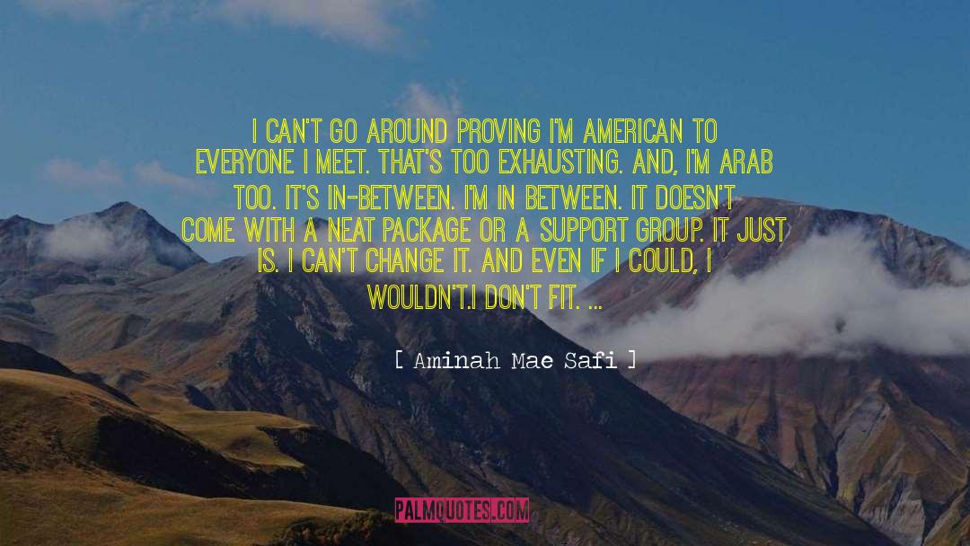 Aminah Mae Safi Quotes: I can't go around proving