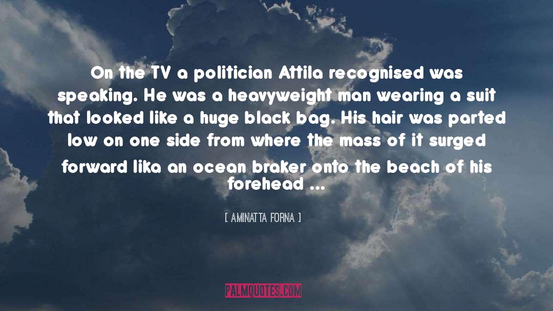 Aminatta Forna Quotes: On the TV a politician