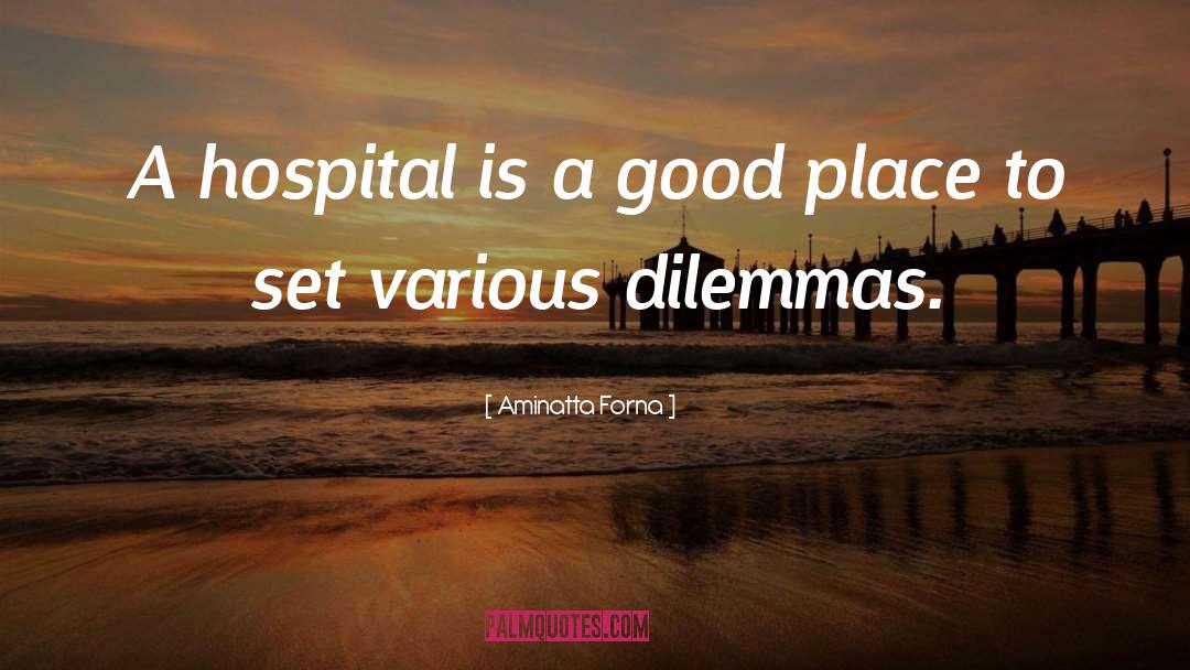 Aminatta Forna Quotes: A hospital is a good