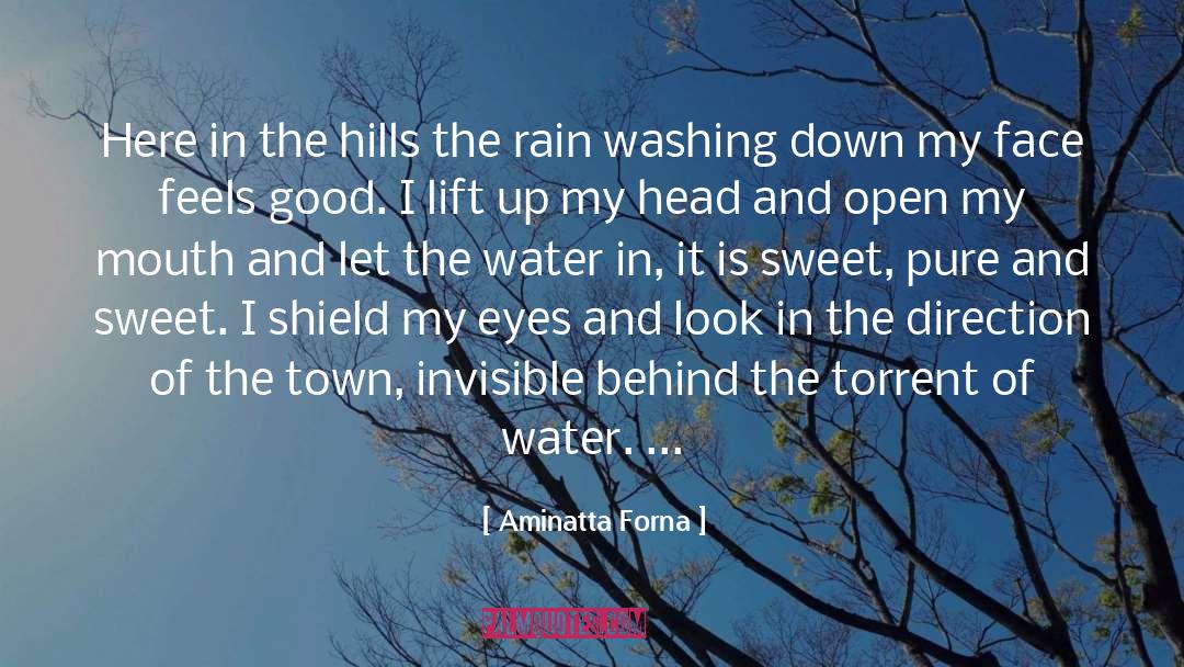 Aminatta Forna Quotes: Here in the hills the