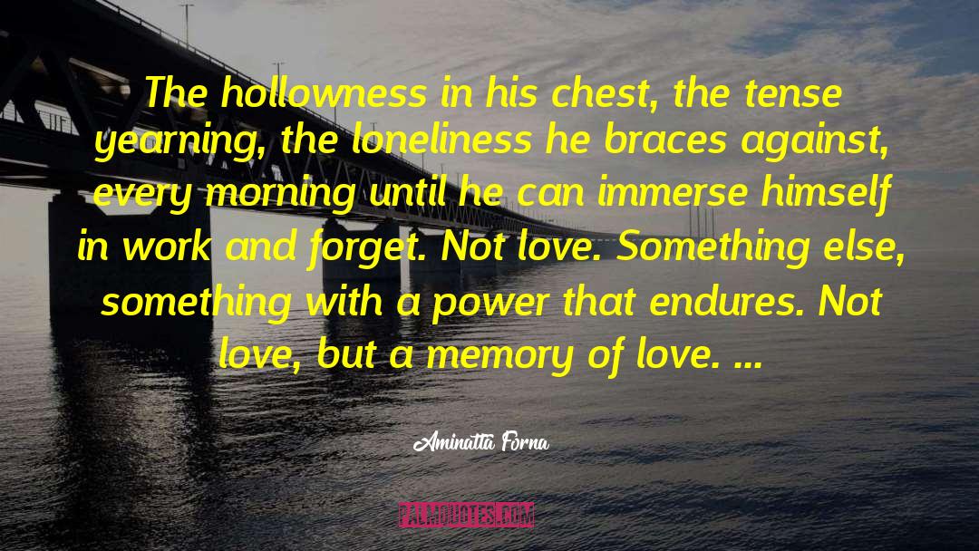 Aminatta Forna Quotes: The hollowness in his chest,