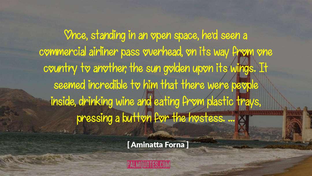 Aminatta Forna Quotes: Once, standing in an open