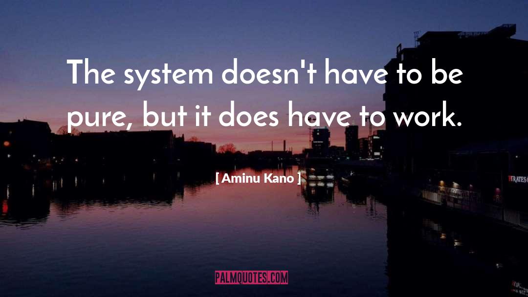 Aminu Kano Quotes: The system doesn't have to
