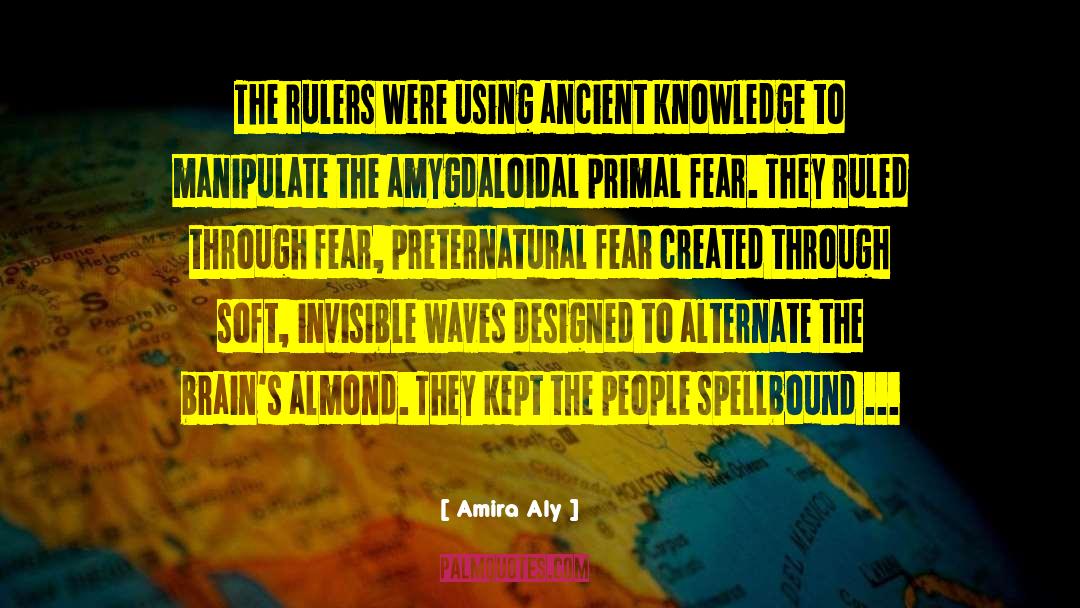 Amira Aly Quotes: The rulers were using ancient