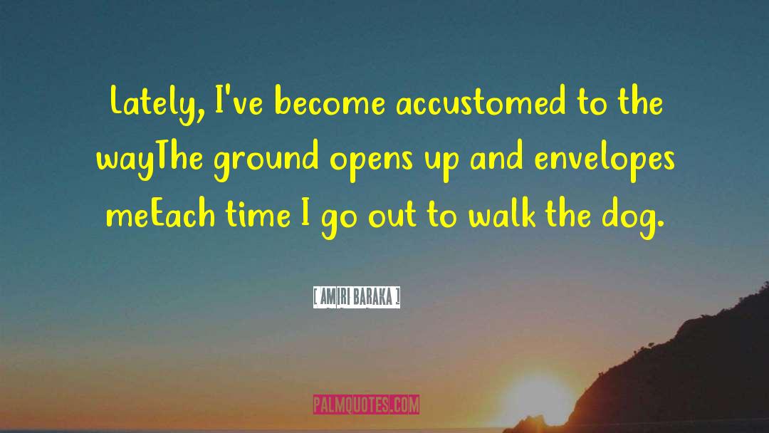 Amiri Baraka Quotes: Lately, I've become accustomed to