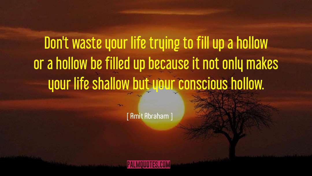 Amit Abraham Quotes: Don't waste your life trying