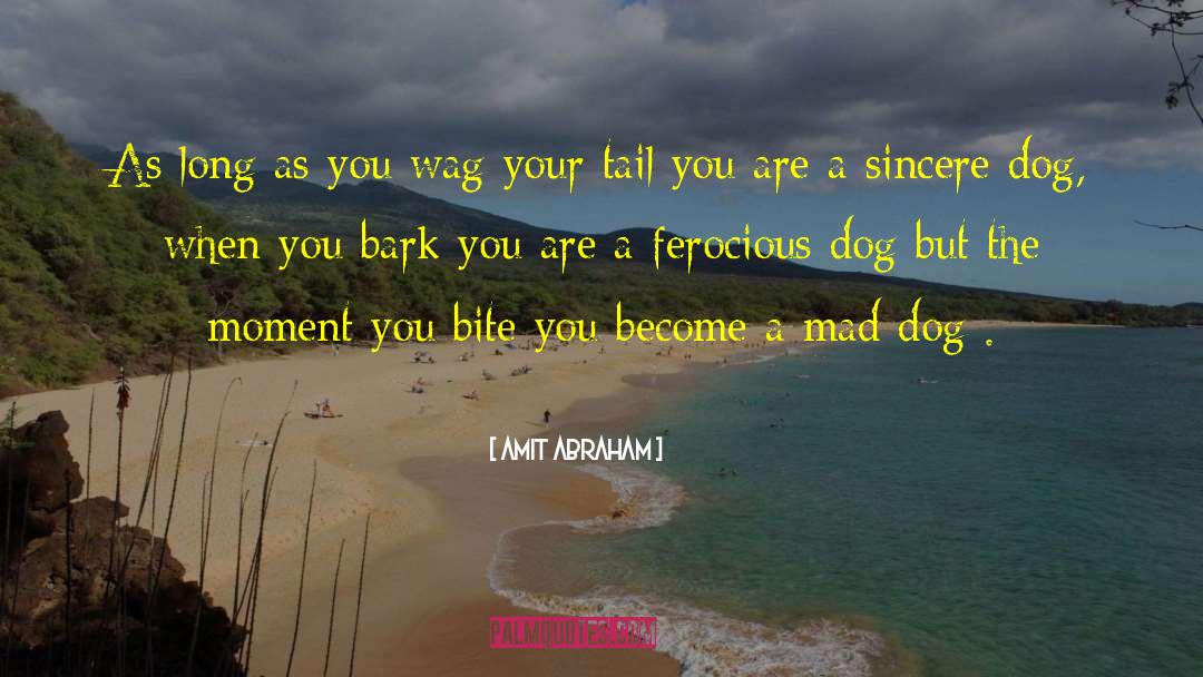 Amit Abraham Quotes: As long as you wag