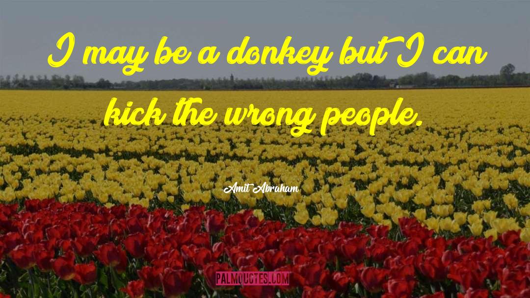 Amit Abraham Quotes: I may be a donkey