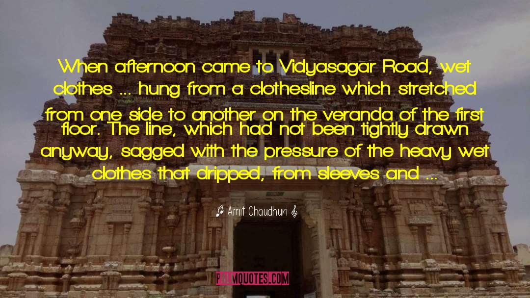 Amit Chaudhuri Quotes: When afternoon came to Vidyasagar