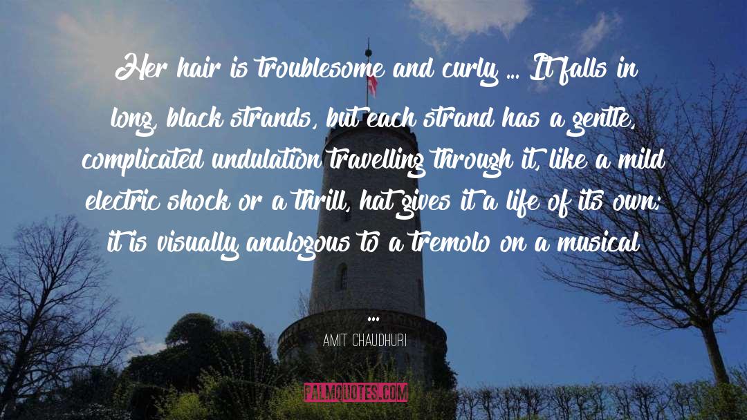 Amit Chaudhuri Quotes: Her hair is troublesome and
