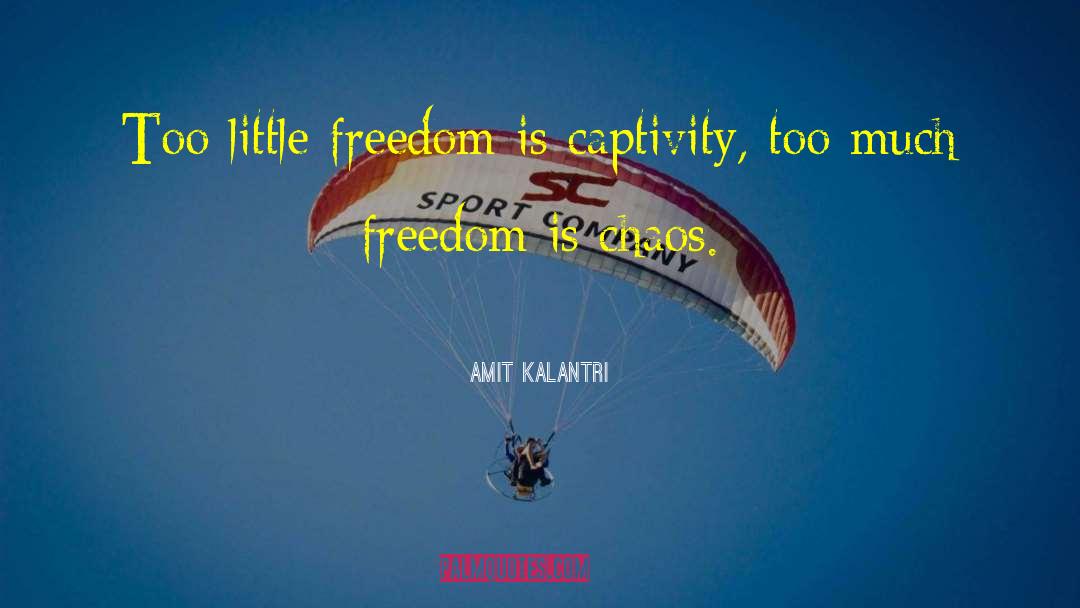 Amit Kalantri Quotes: Too little freedom is captivity,