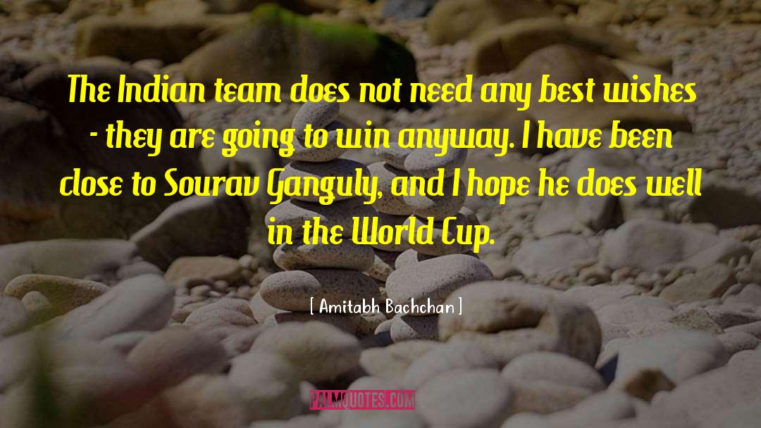 Amitabh Bachchan Quotes: The Indian team does not