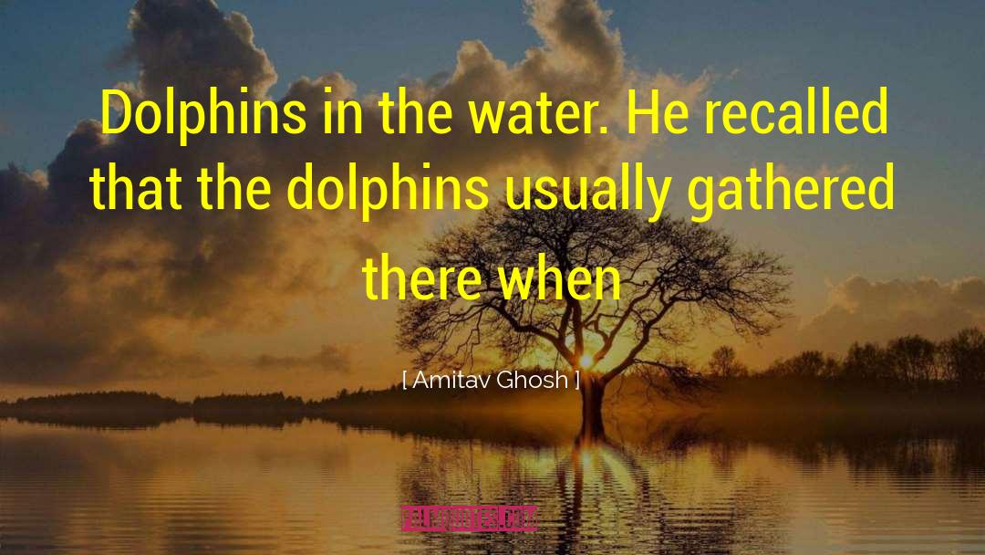 Amitav Ghosh Quotes: Dolphins in the water. He