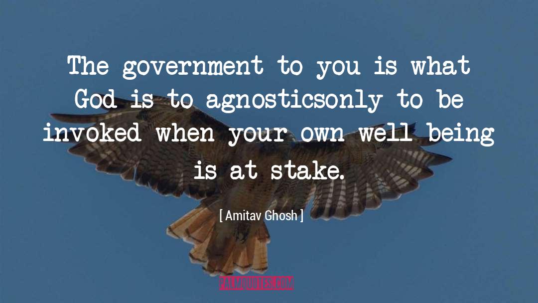 Amitav Ghosh Quotes: The government to you is