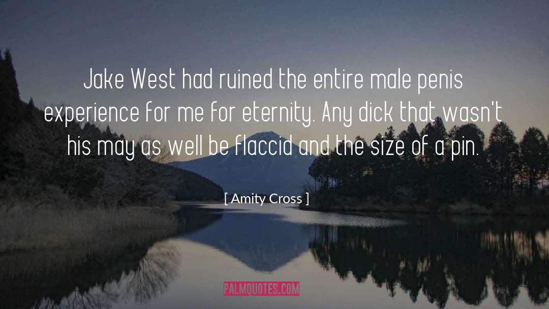 Amity Cross Quotes: Jake West had ruined the