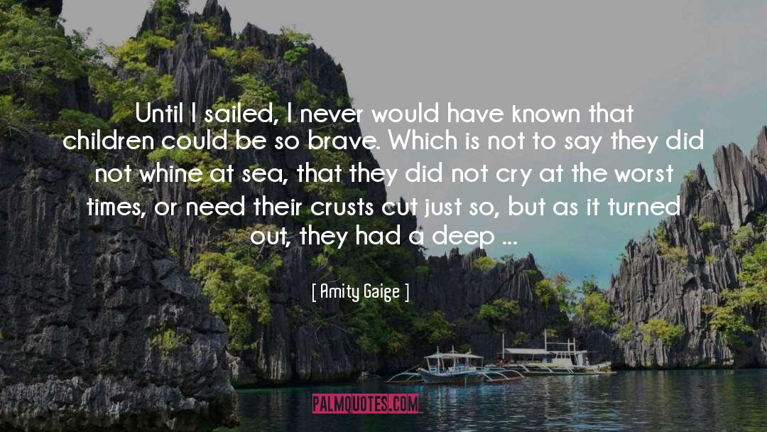 Amity Gaige Quotes: Until I sailed, I never