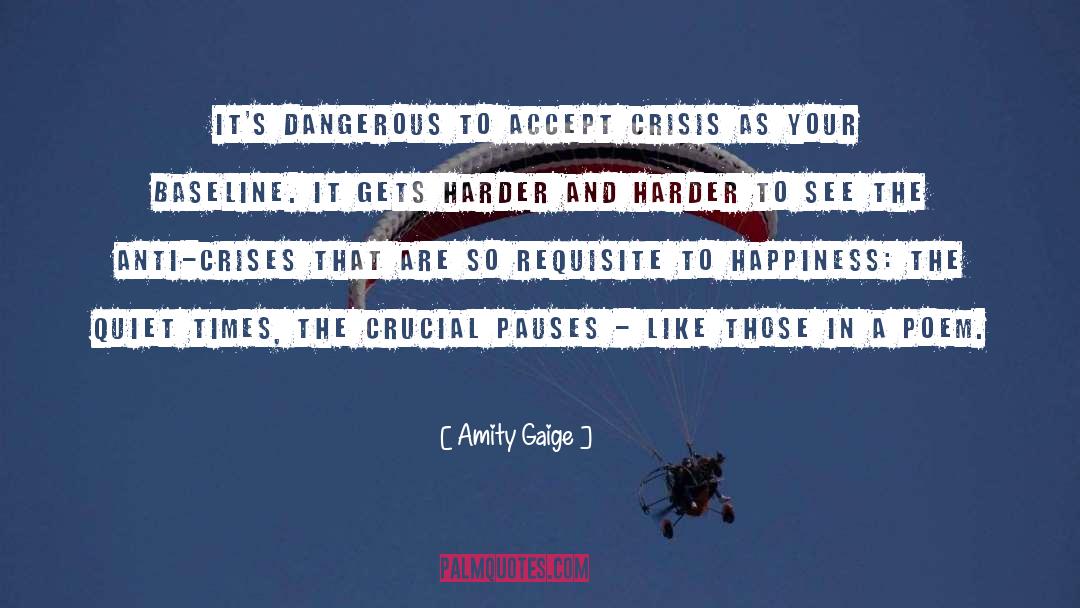 Amity Gaige Quotes: It's dangerous to accept crisis