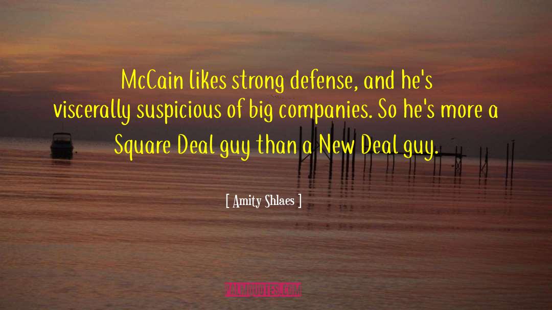 Amity Shlaes Quotes: McCain likes strong defense, and