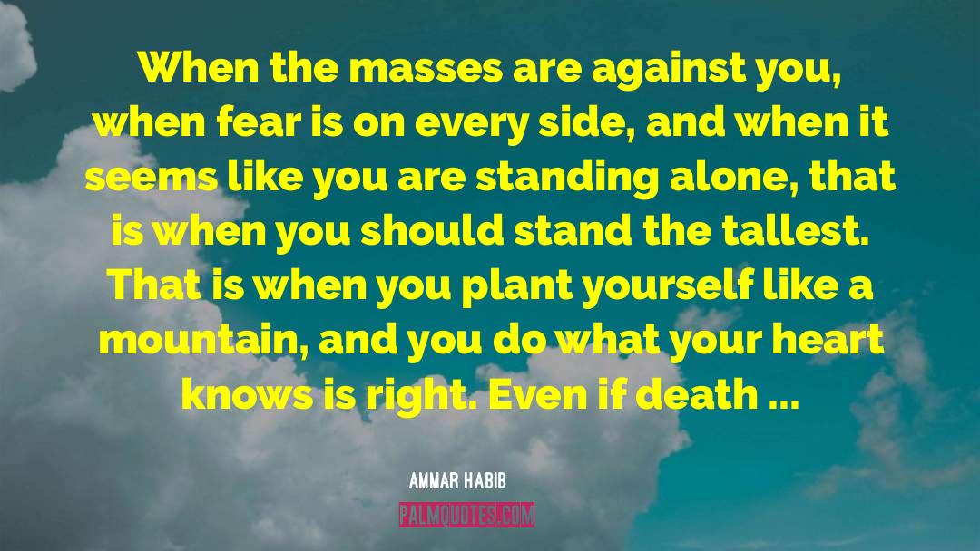 Ammar Habib Quotes: When the masses are against