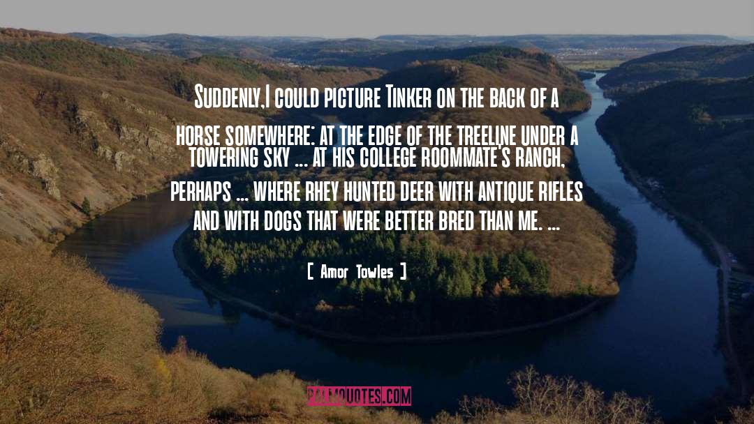 Amor Towles Quotes: Suddenly,I could picture Tinker on