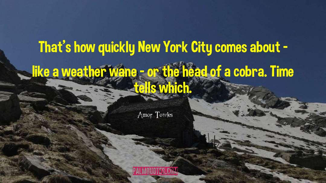 Amor Towles Quotes: That's how quickly New York