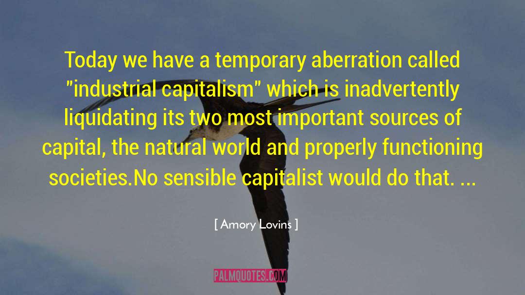 Amory Lovins Quotes: Today we have a temporary