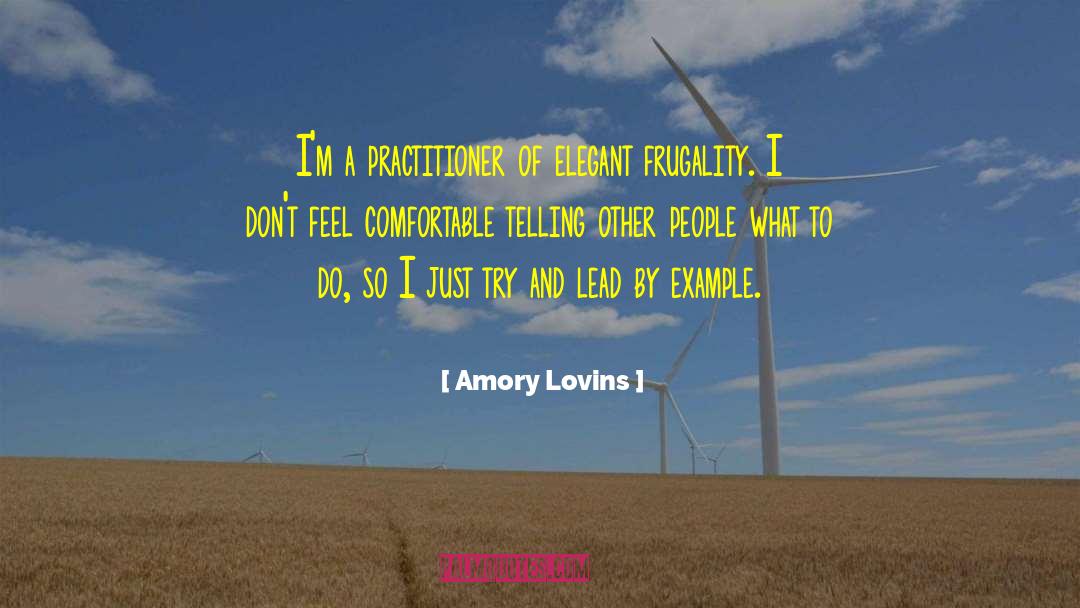 Amory Lovins Quotes: I'm a practitioner of elegant